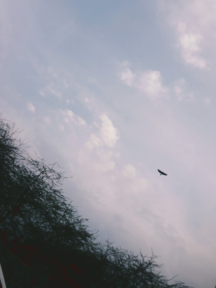 journey