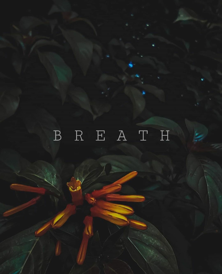 Breath