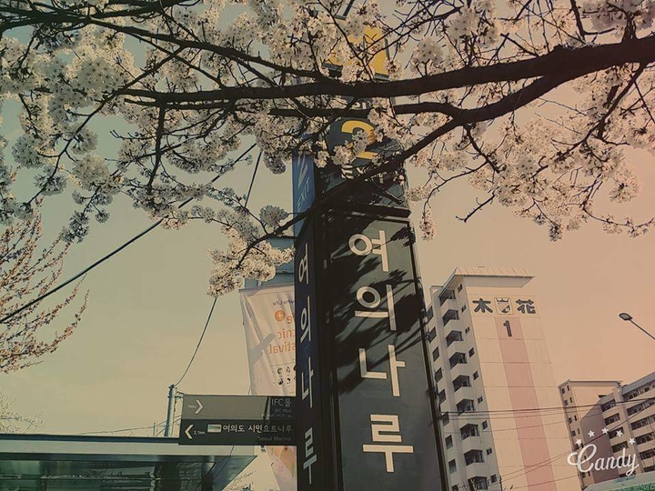여의나루