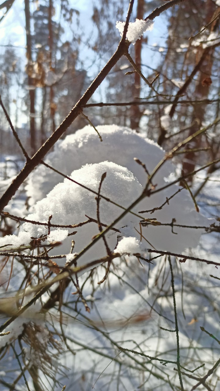 l love winter