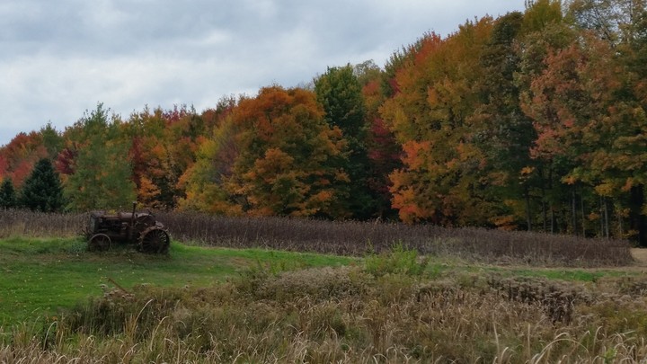 fall in the country