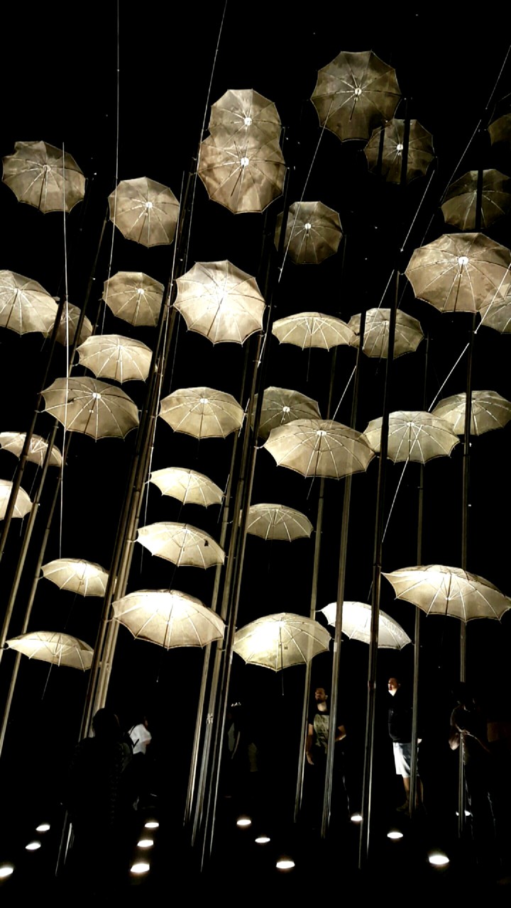 Umbrella