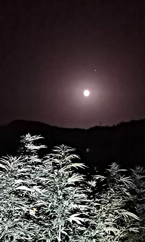 ma