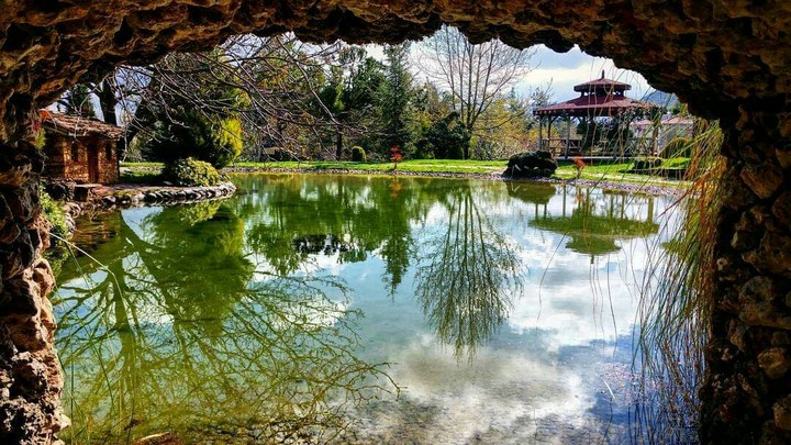 reflection