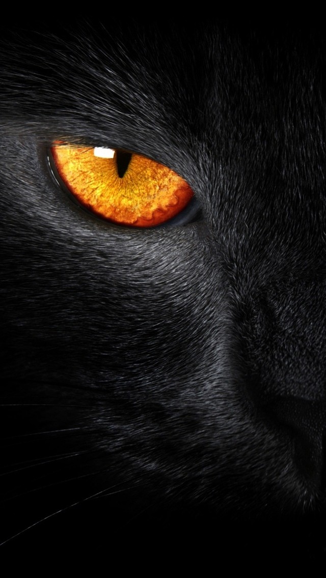 black panther
