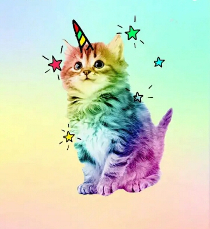 #cute #cat #unicorn