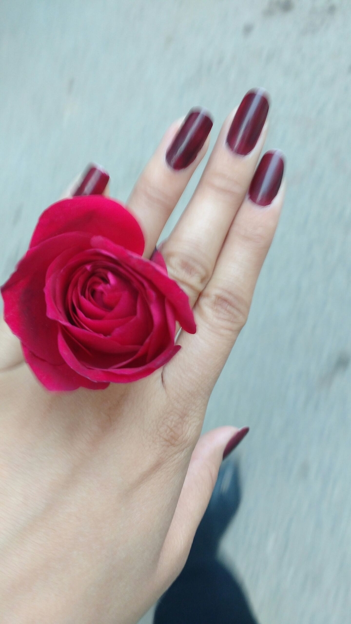 walking with rose in hand