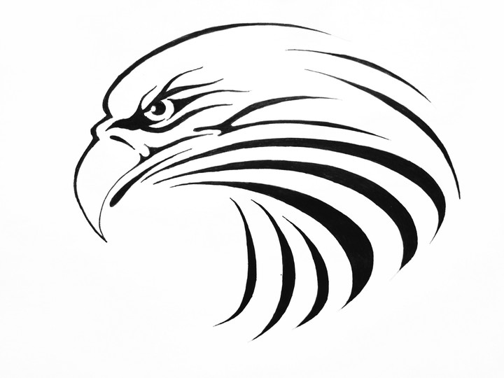 Smart Eagle