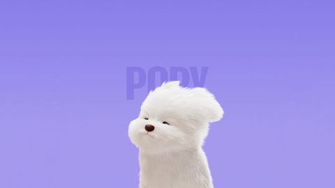 обои dog, puppy