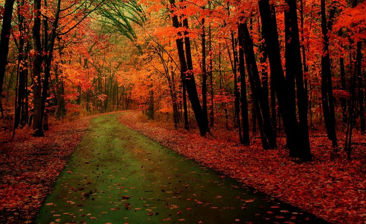 ❤ dear autumn ❤