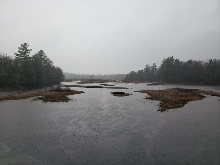 moose river