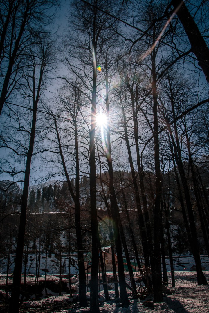 rays