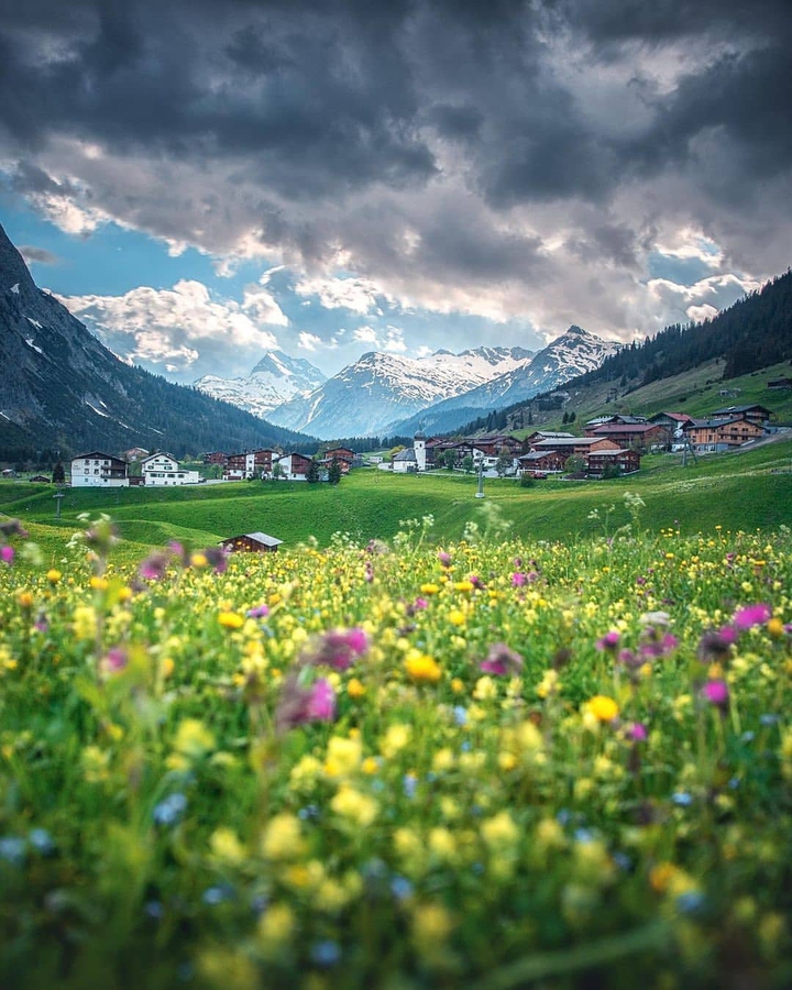 spring