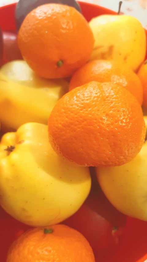 fruits