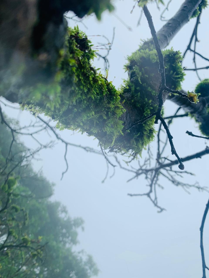 nature