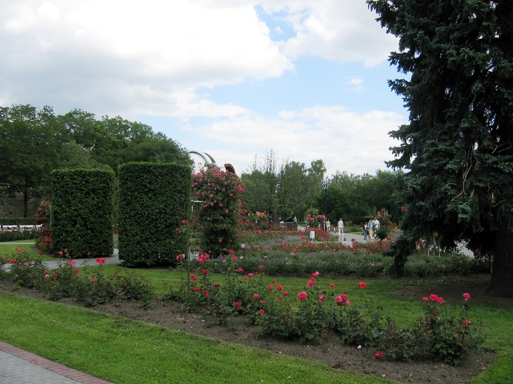 Scenics