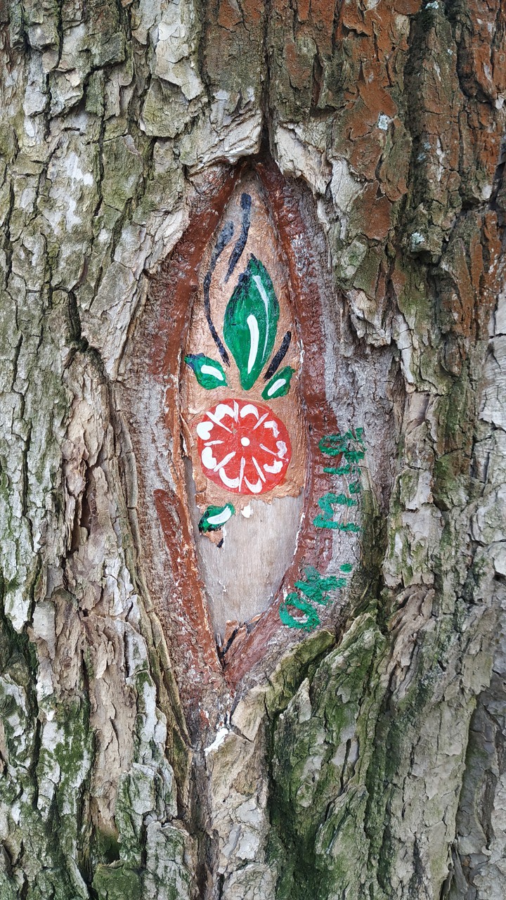 colour tree