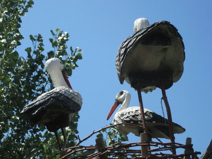 круть