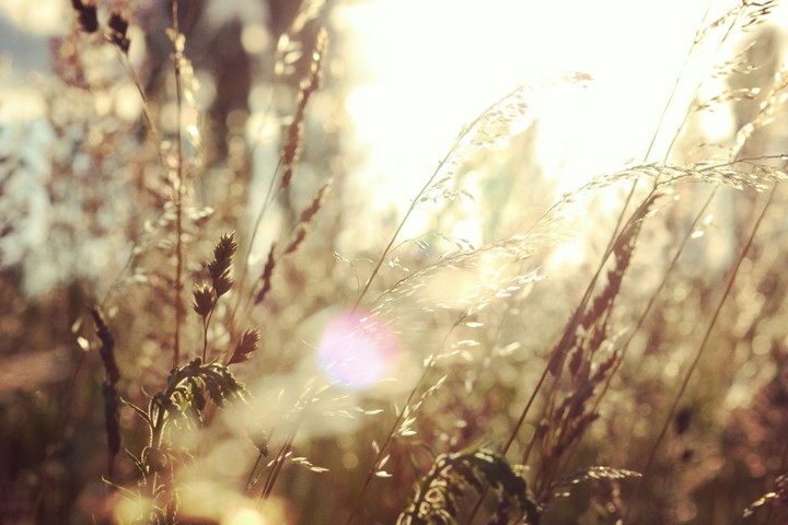 moment of gold