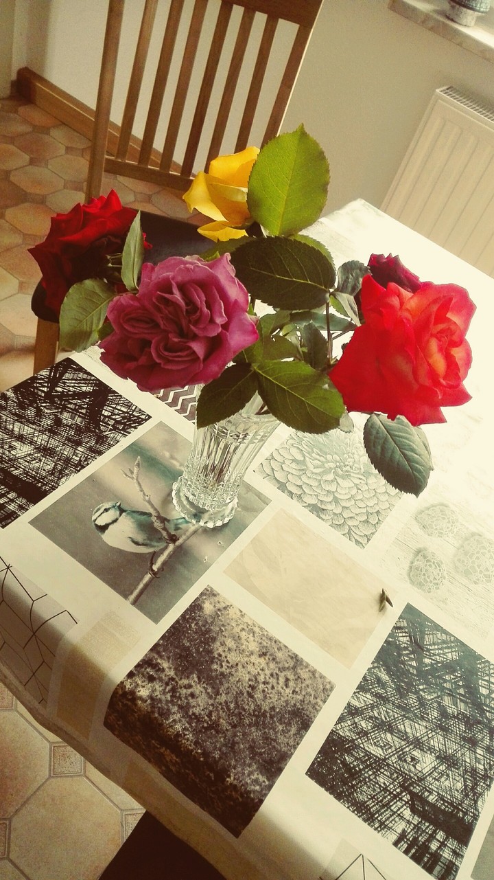 Rosen der Liebe