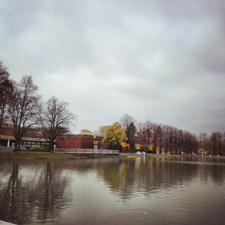 Reflection in the lake