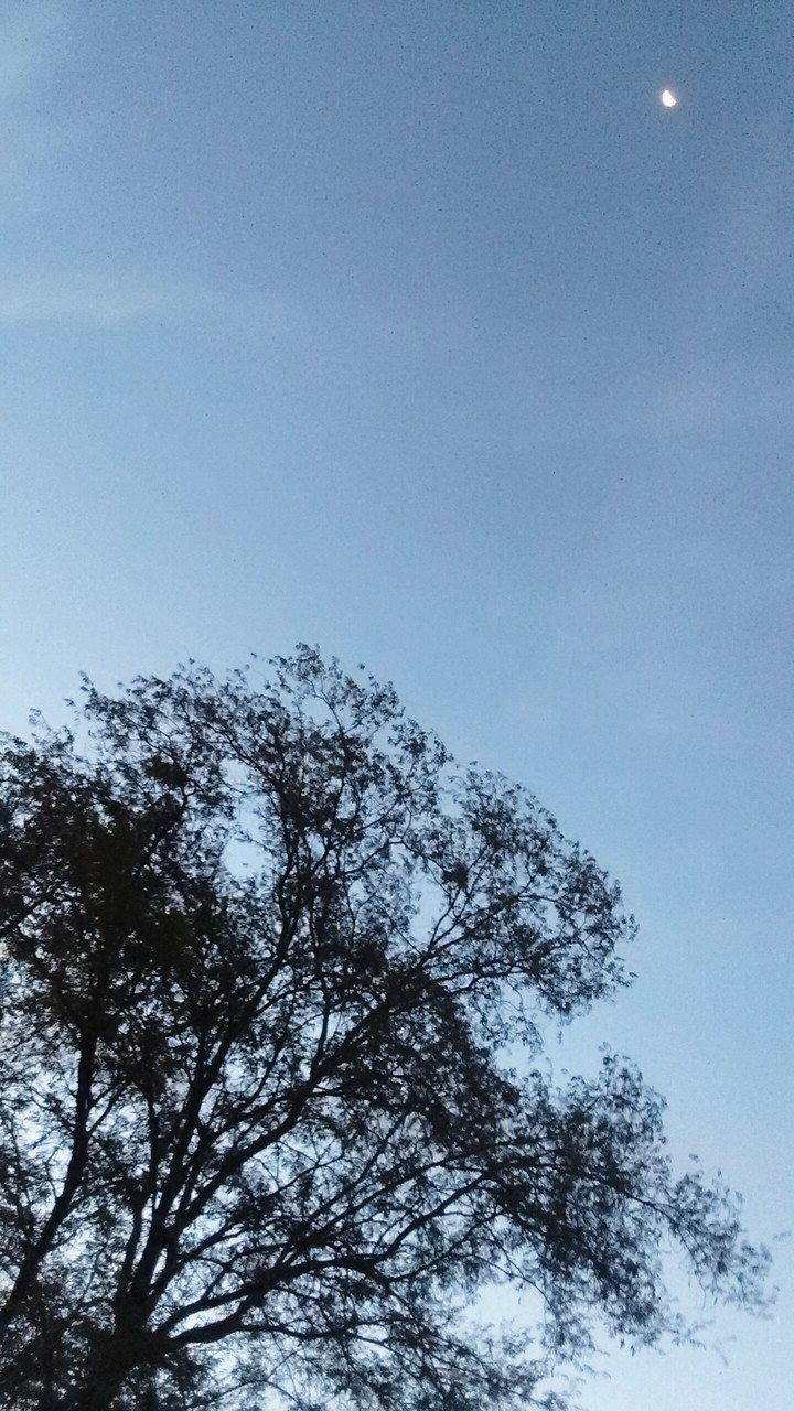 The Nature