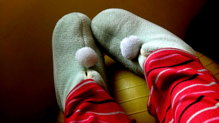 my socks