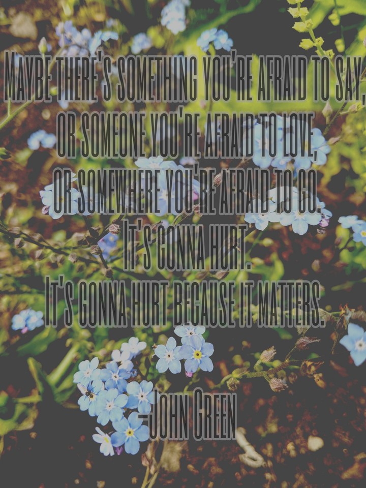 Looking for Alaska