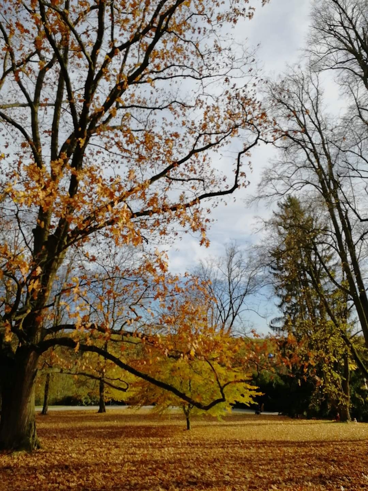 autumn