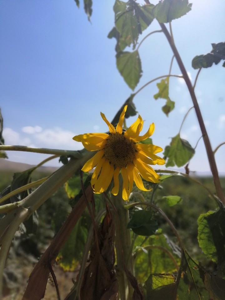 کرمانشاه روستای حاجی آباد