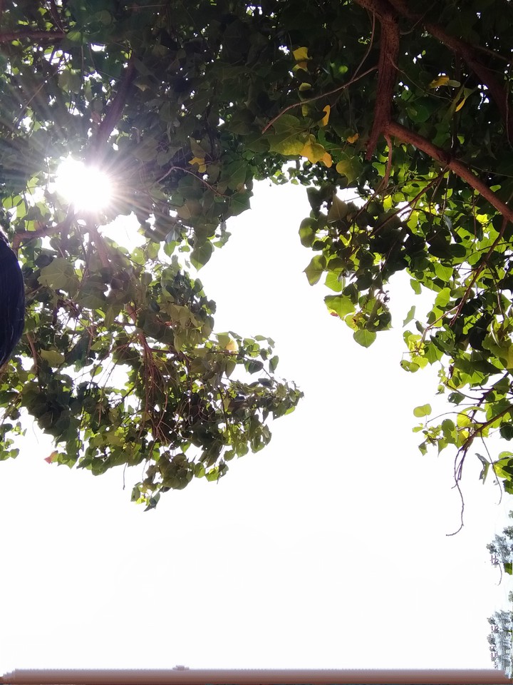 day ☀