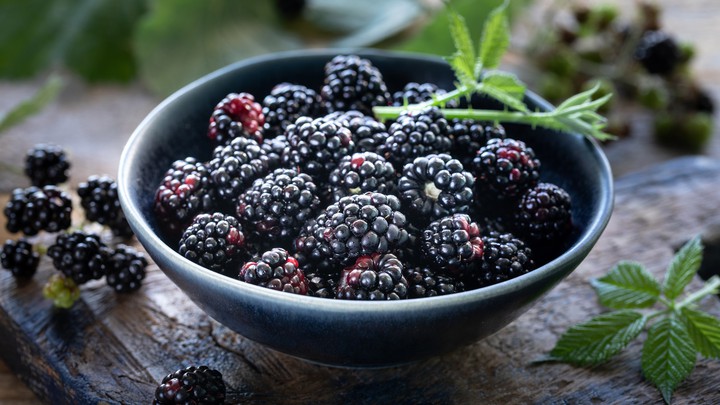 blackberry