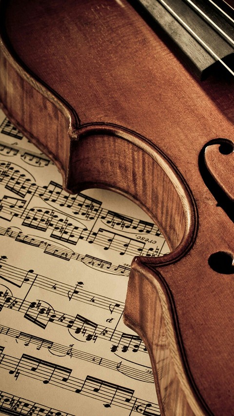 wood, brown wallpapers