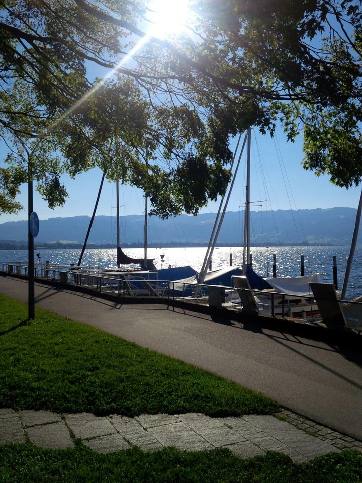 Bodensee am Morgen