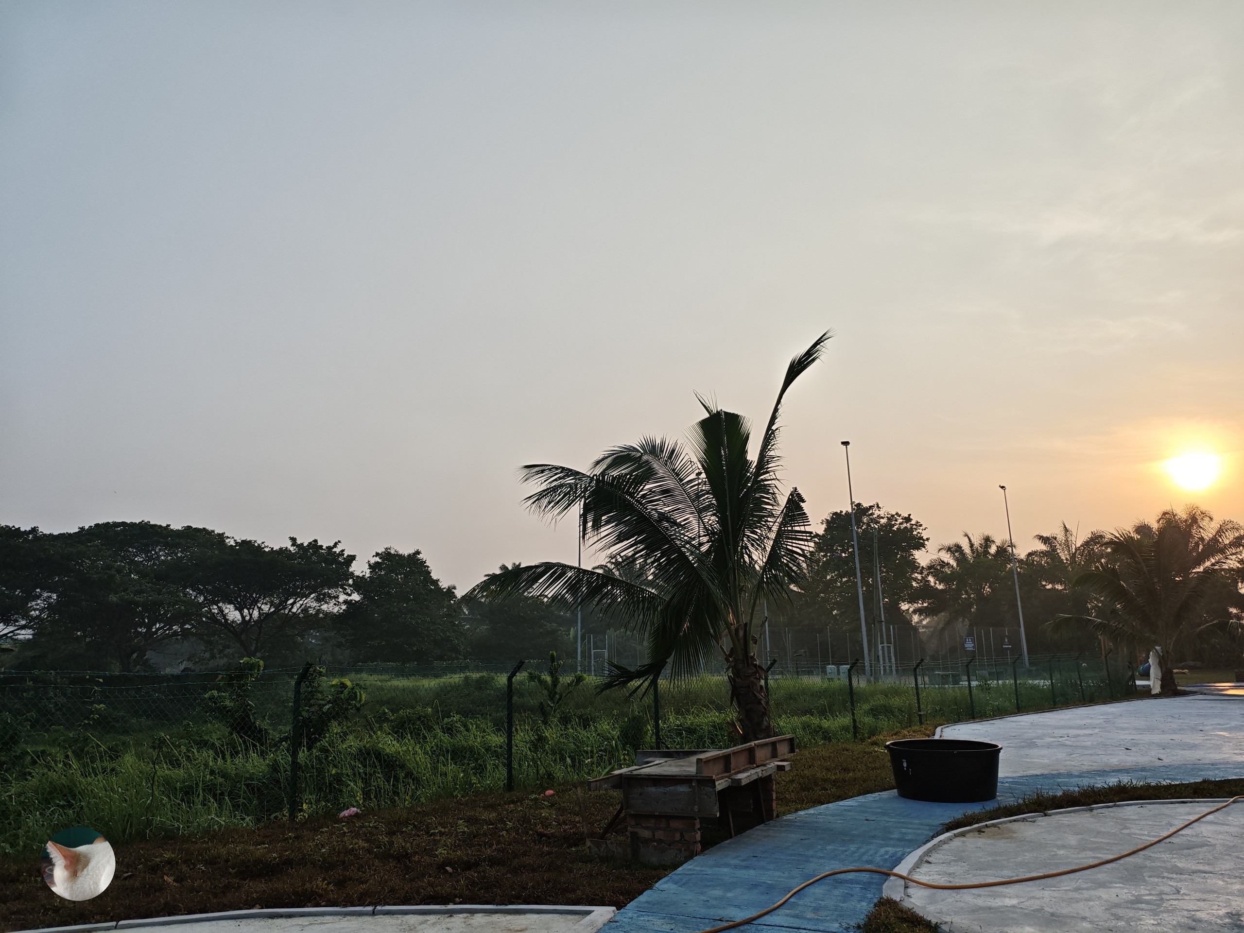 sunset, evening Hintergrundbilder