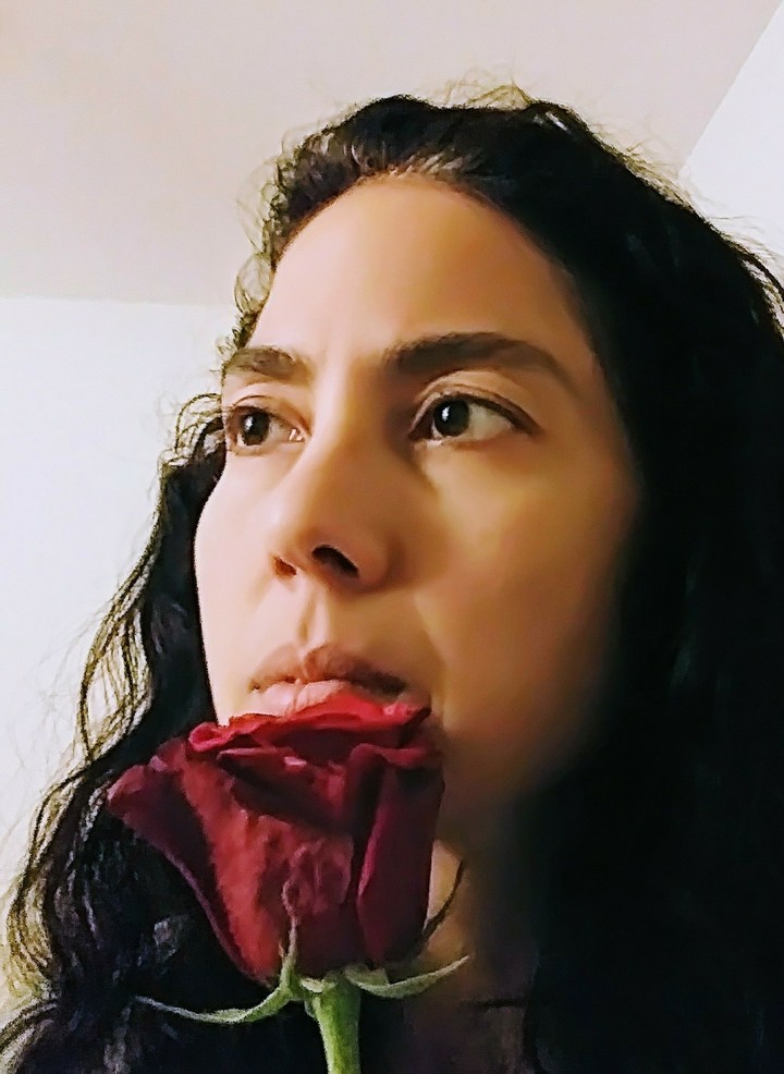 valentine rose