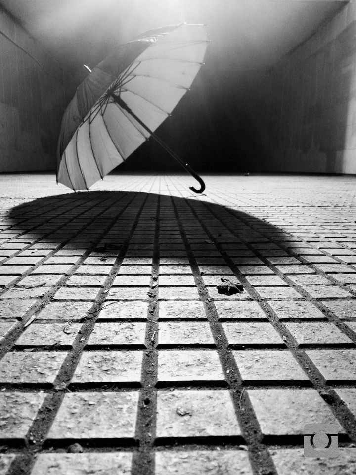 umbrella