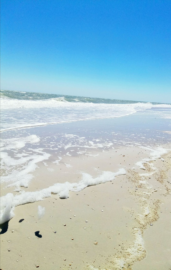 Sea