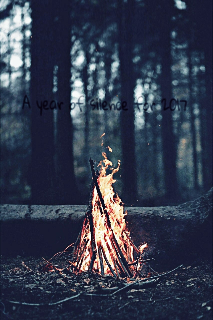 Burn It Down