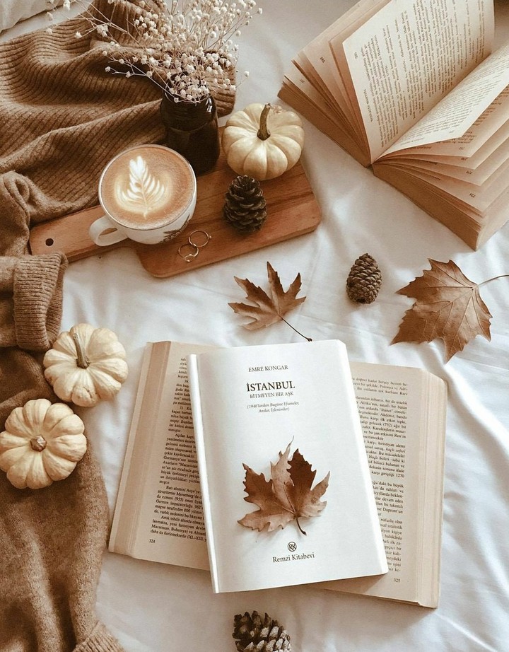 Kitap bazen en iyi dost olabilir(✯ᴗ✯)