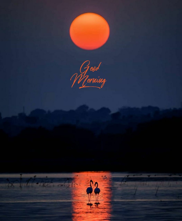 Good Morning