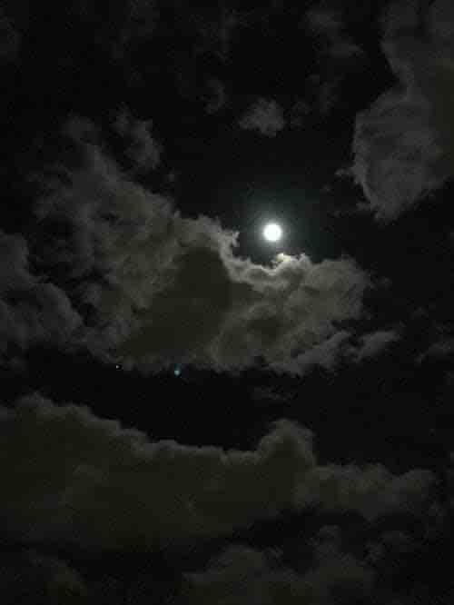 Moon