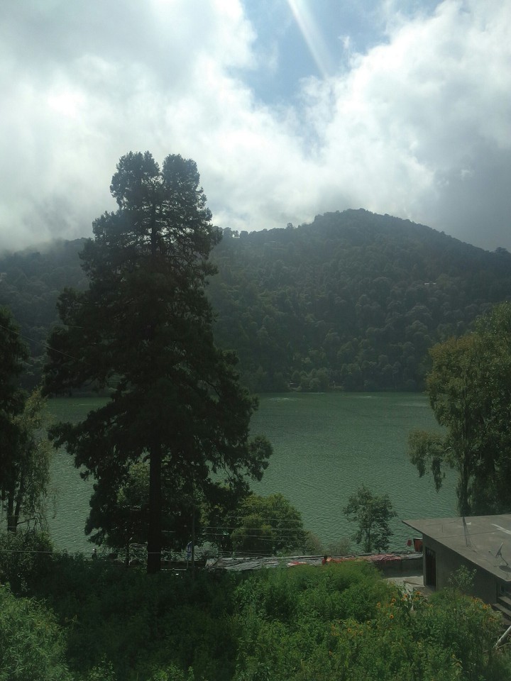 nature