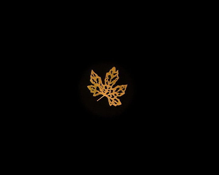 Golden leaf