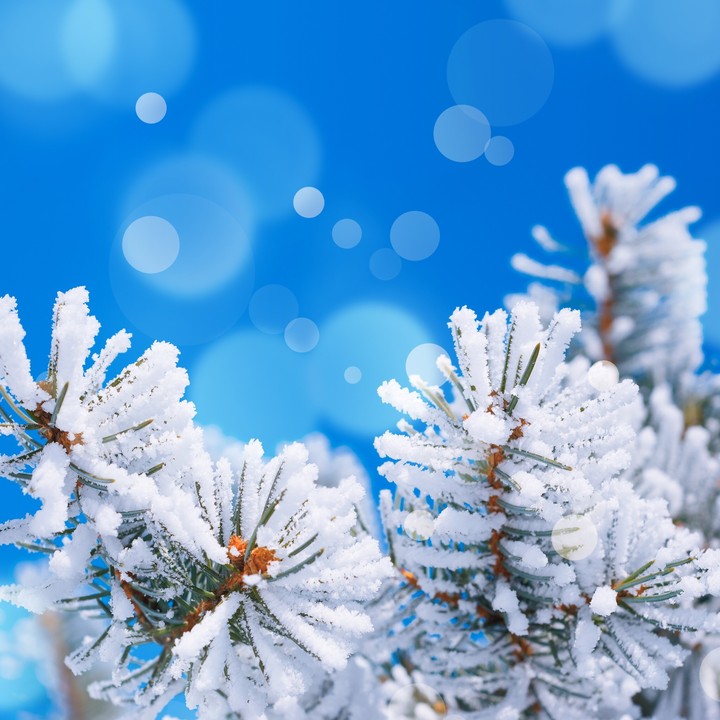 Winter