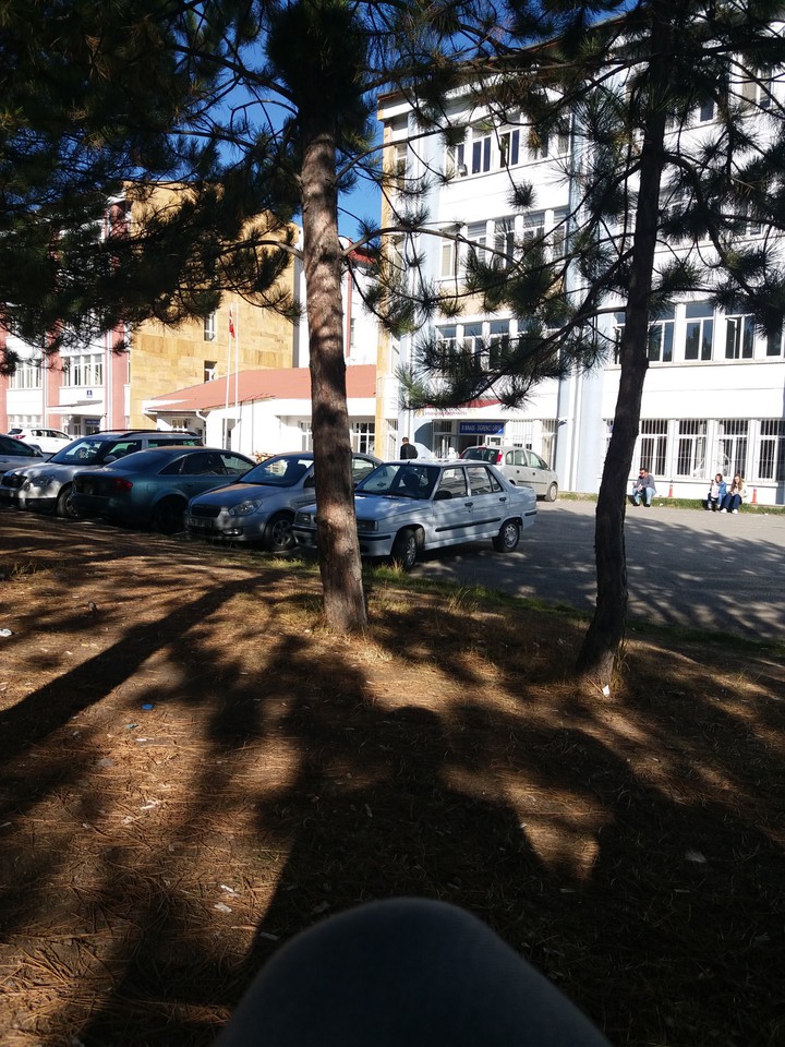 faculty