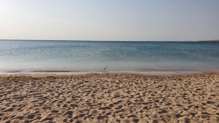 sama bay
