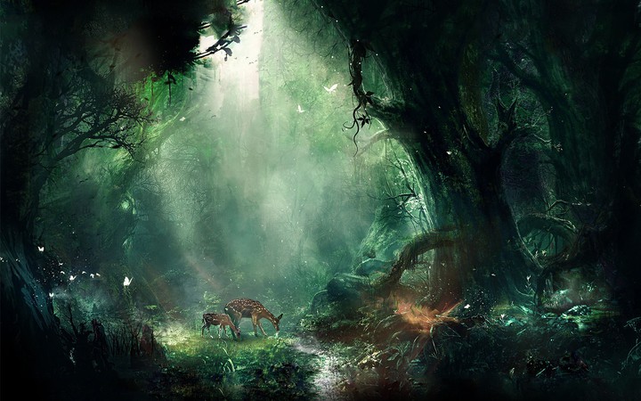 NATURE