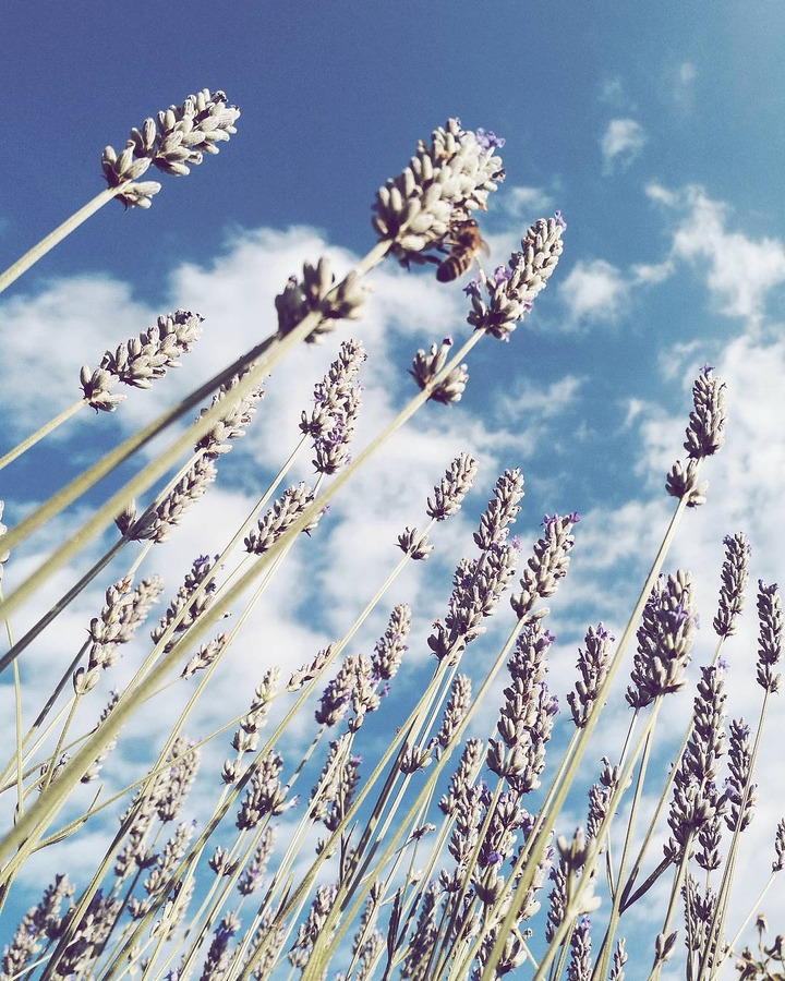summer feeling.