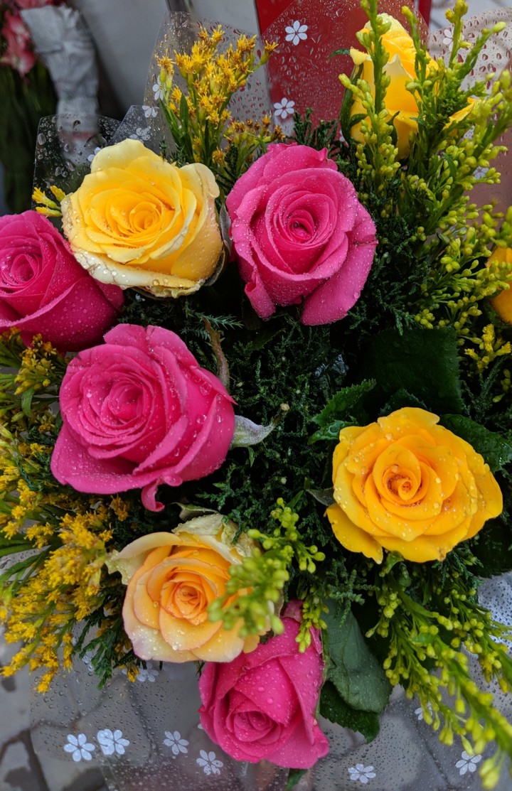 Roses